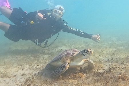 Scuba Diving No Experience Needed Videos Included