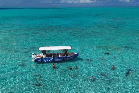 Bora Bora Half Day Snorkeling