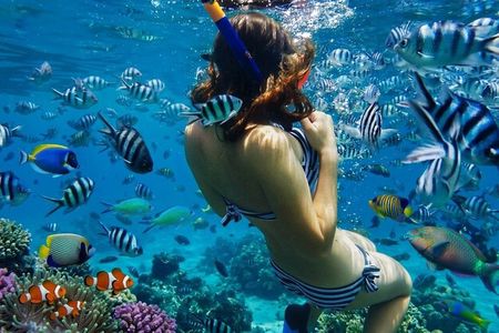 Bali Blue Lagoon Snorkeling with Lunch & Private Hotel Transfer