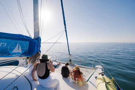 Afternoon Moreton Bay Sailing Tour