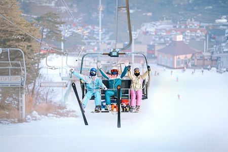 Jisan Forest Ski Resort and Everland 1 Day Tour