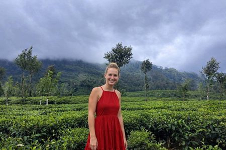 8-Day Sri Lanka Solo Tour with Hotels, Train Ride & Safari