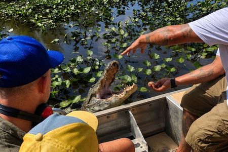 Everglades Eco Tour: Small-Group Airboat & Wildlife