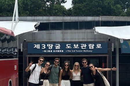 Beyond the DMZ: Private Tour from Seoul & Suspension Bridge