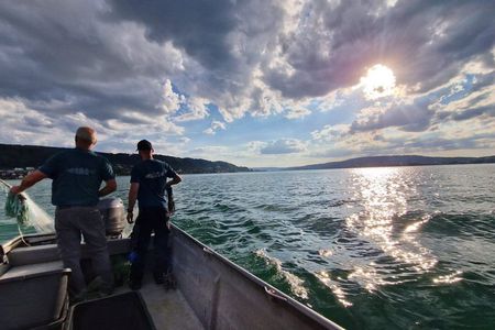 Riebels Sailor's yarn and cuisine