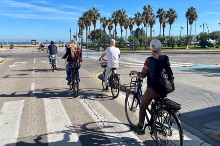 Valencia: E-bike Tour, Beaches & City of Arts and Sciences