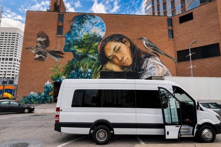 Executive Private Houston City Tour