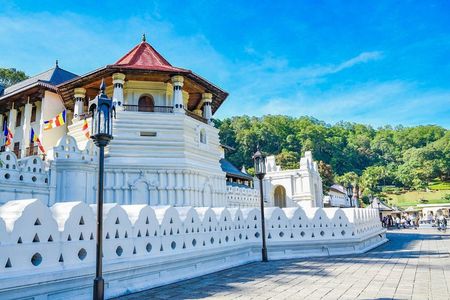 2-Day Sigiriya, Dambulla & Kandy Cultural Tour
