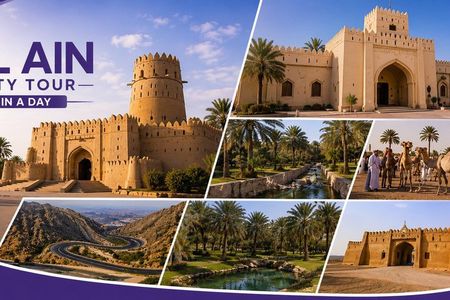 Private -Full Day Alain City Tour