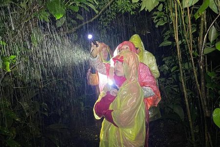 Sarapiqui Rainforest Night Walk : Wildlife & Adventure.