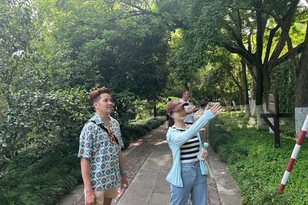 Private Custom Hangzhou Day Tour with Shanghai Pickup Option