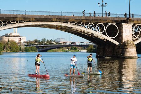 Private Paddle Surf Tour of Guadalquivir in Seville