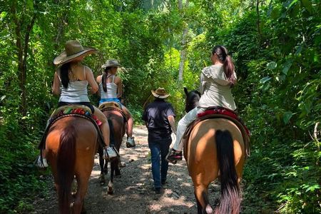Puerto Vallarta Cowboy for a Day: Horses & Ranch Life Experience