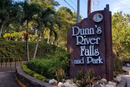 Kingston to Dunn’s River Falls : The Ultimate Escape