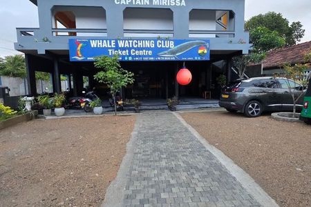 Whale Watching Mirissa with WWC
