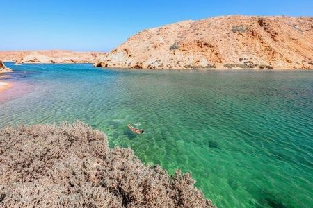 3-Hour Private Dolphin Watching & Snorkeling Tour in Muscat