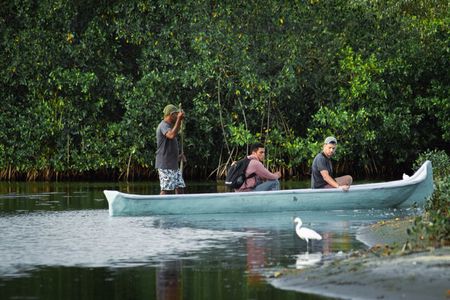 Explore La Boquilla’s Mangrove Tunnels with Local Fishermen