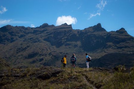 Chingaza National Park Day Tour from Bogotá: Andean Wilderness
