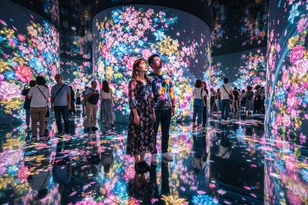 Tokyo Private Tour: teamLab Borderless & Imperial Palace
