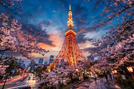 Private Evening Walk in Tokyo with Tower Views and Local Cuisine