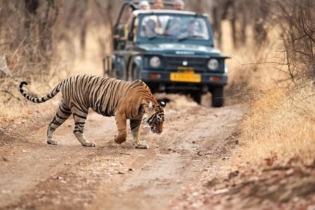 6 Days Delhi Agra Jaipur Tour with Ranthambore National Park