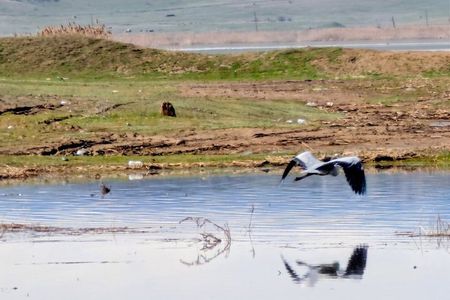 From Tbilisi: Rainbow Mountains & Lakes 4x4 Wildlife Tour