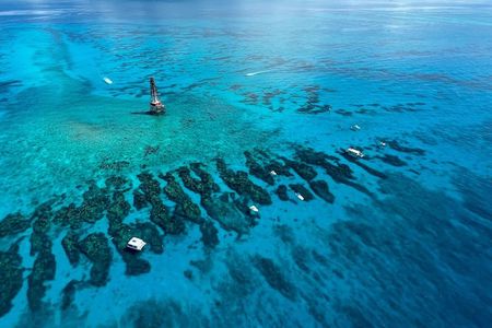 Marathon Snorkeling and Sandbar Adventure