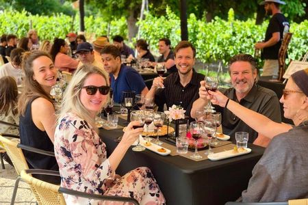 Wine & Culinary Trail in Maipo Valley Lunch experience Included