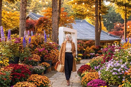 Nami Island, Petite France and Garden of Morning tour from Seoul