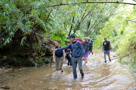 Okinawa Jungle Trails & Waterfalls – Private Yanbaru Tour