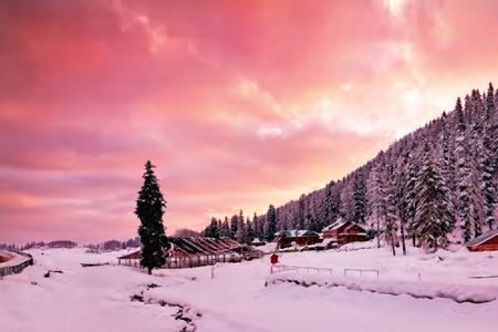 Kashmir 7-Day Tour Package Houseboat Gulmarg Pahalgam & Sonamarg