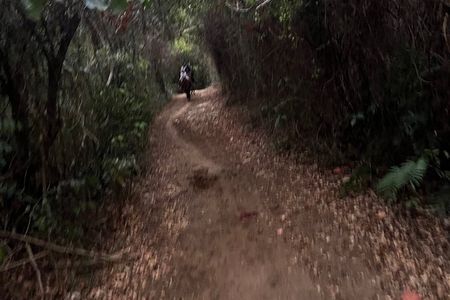 Punta Cana Horseback Riding & Macau Beach Experience