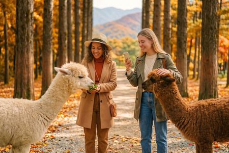 Nami Island, Alpaca World and Gangchon Rail Bike Tour from Seoul