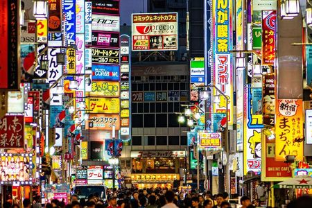 Private Tokyo Walking Tour and Shinjuku Secrets