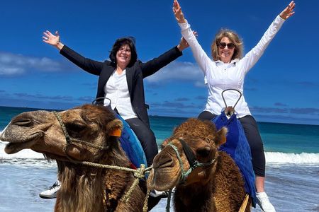 Tangier Private 4-Hour Tour with Camel Ride Experience