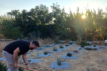 Naxos Herbal Garden Experience: Plant, Explore & Adopt Your Herb