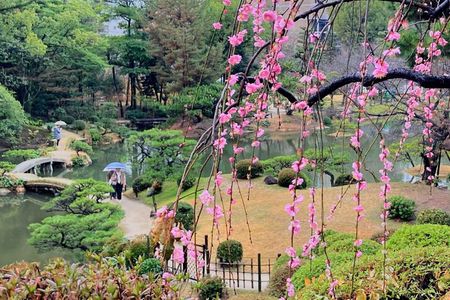 Hiroshima City Center Pickup : Best Highlights by Private Car