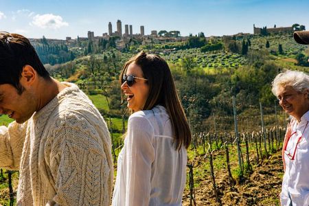 Tuscany Experience: Pisa, Siena, San Gimignano & Wine Tasting