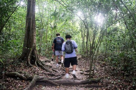 Mountain Pine Ridge & Jungle Hike: Waterfalls & Caves with Lunch