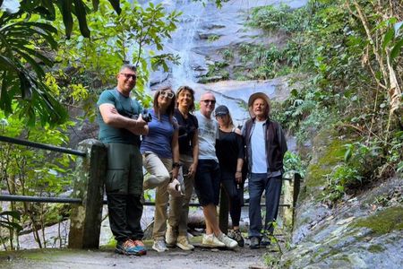 Tijuca Forest: Waterfalls, Cave, and Wildlife