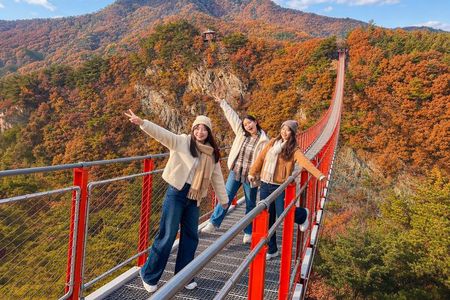 DMZ Tour from Seoul:3rd Tunnel,North Korea View,Suspension Bridge