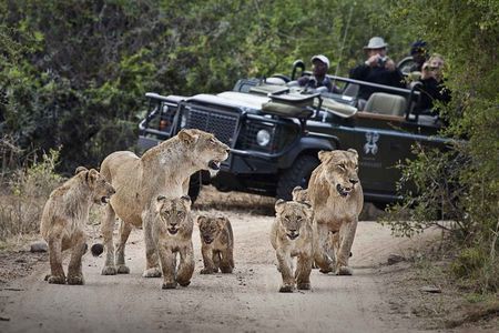 Safari Game Drive Zambezi National Park