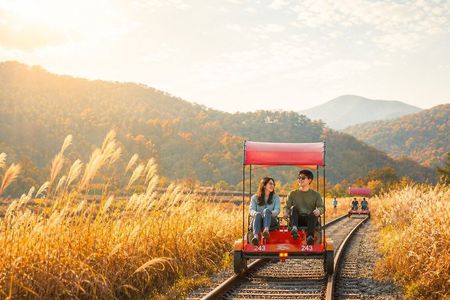 Nami Island & Railbike & Alpaca Garden Cafe