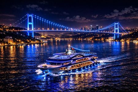 Bosphorus Dinner Cruise with Turkish Night Show from Istanbul