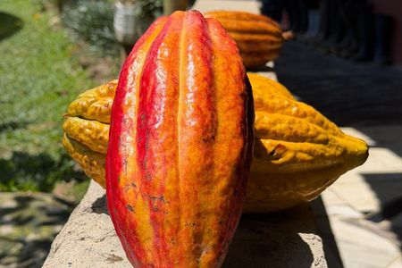 Chocolate tour near Medellin