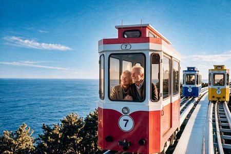 Busan Small Group Cruise Tour 100% Guaranteed Sky capsule