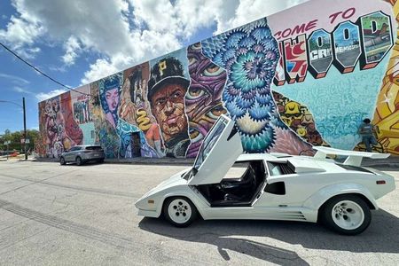Top 8 Places Tourist Must-Visit in Miami in One Day 6h VIP Tour!