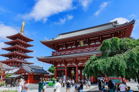 Tokyo Private Tour: Temples, Culture & Modern City Highlights