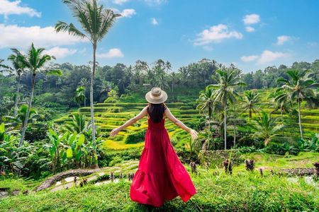 Ubud Private Day Tour with Local Guide