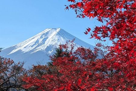 Mount Fuji Private Tour With pick up From Tokyo